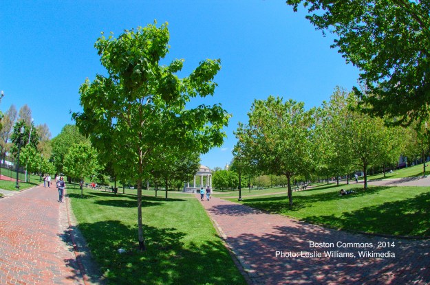 Leslie Williams public domain 2014 small