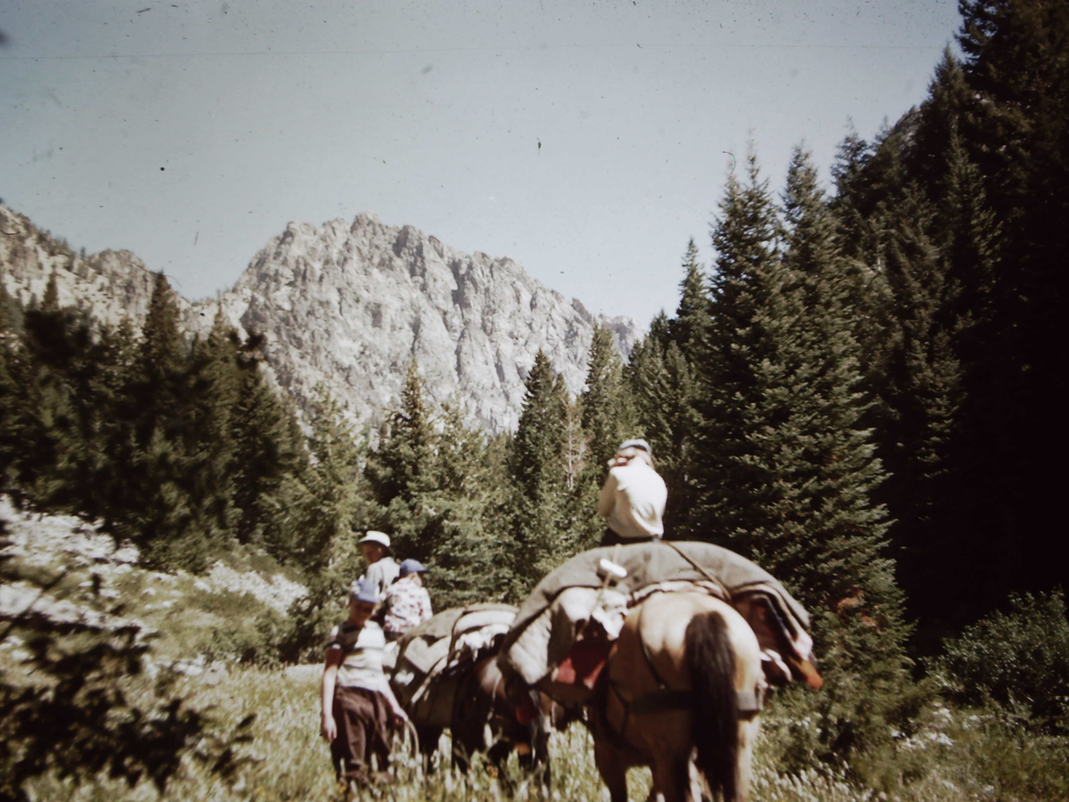 My beautiful picture