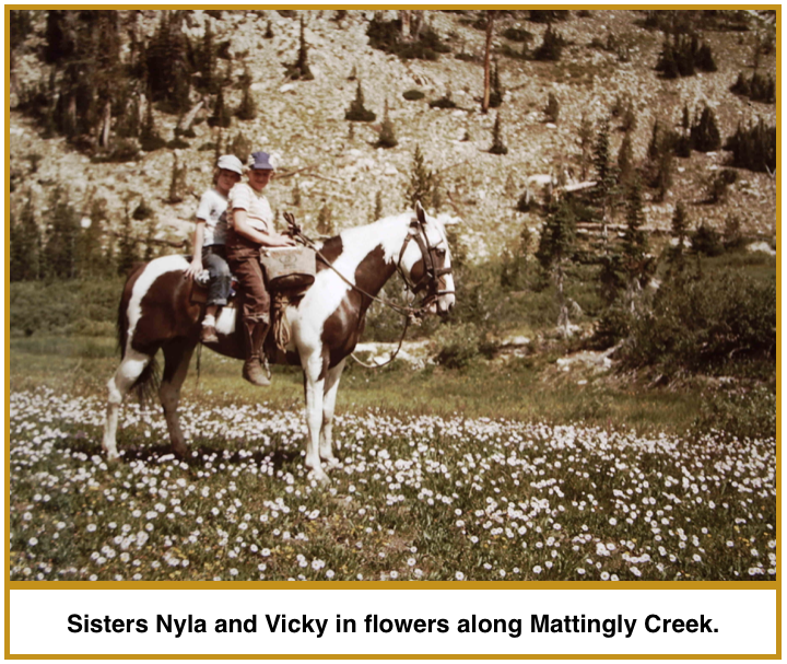 Screen Shot 2016-05-08 at 1.09.01 PM