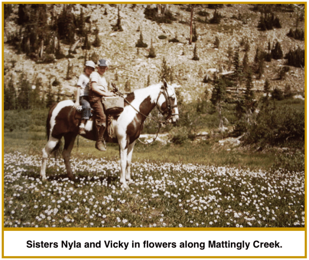 Screen Shot 2016-05-08 at 1.09.01 PM