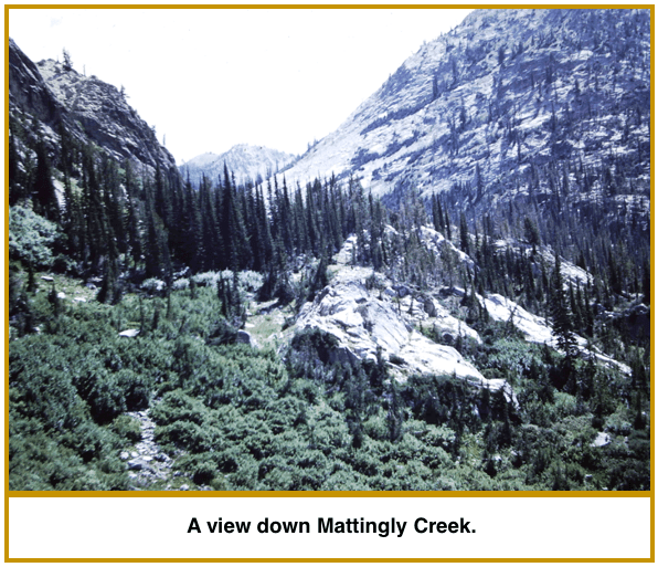 mattingly-creek