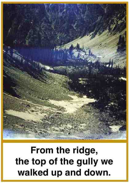 1 up top of the gully.jpg
