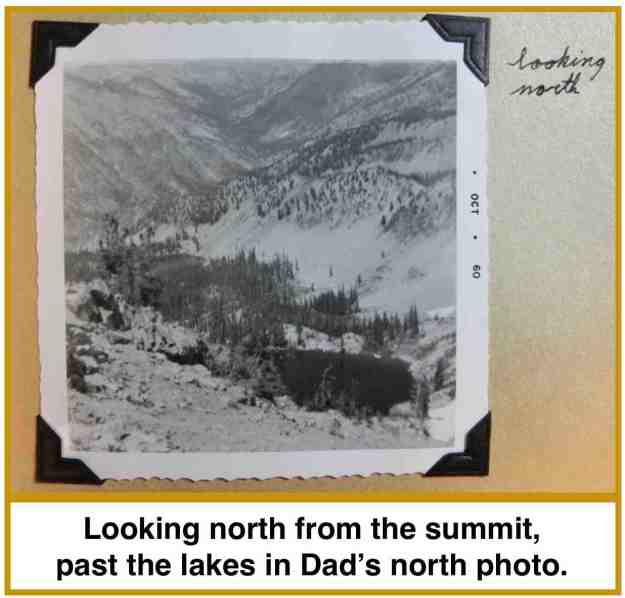 12 brownie looking north